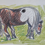 Pony - pastello su carta - 1995 - cm 30x39