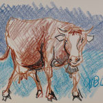 cera su carta - cm. 30 x40