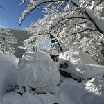 2025年1月10日、須賀川市の実家近くの雪景色