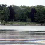 Blick vom Schwielowsee, gut zu erkennen: die  Uferbefestigung. Die berühmten Pappeln fielen in der Nacht vom 17. zum 18. Januar 2007 dem Orkan Kyrill zum Opfer.