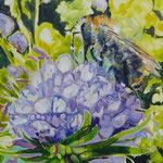 Ackerhummel an Teufelsabbiss, Acryl auf Leinwand, 100cmx75cm, 2020 / 1.200€.