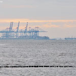 Blick von Wremen auf den Containerhafen