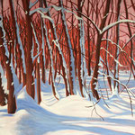 "Schnee, Sonne, Schatten" Oel, 120 x 100