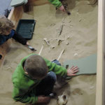 Forensic archeology, Museum of Kerry, Tralee