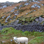 Ring of Kerry