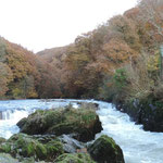 River Teifi, Cenarth.