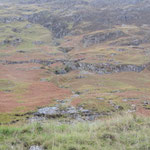 Countryside around Ben Nevis.
