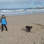 Who said that UK beaches are all black pebbles? 