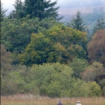 Fishermen on Lake of Menteith.