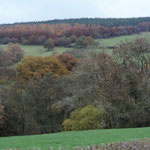 Autumn colours, Brecon Beacons National Park