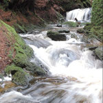 Puck's Glen, Argyll Forest.