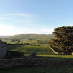 View from the kitchen of our cottage.
