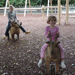 Riding animals on the farm, Stratford upon Avon.