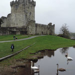 Ross Castle, Killarney