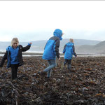 In the Kelp, Robin Hood Bay.