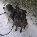 Zwischen den Schneeflocken sind Ashugi und Lyla zu erkennen
