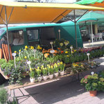 Wochenmarkt