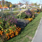Das Gelände der Landesgartenschau. Im Stadtpark Möglingshöhe befindet sich auch die Hauptquelle des Neckars.