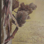 Detail°12