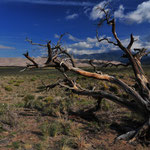 Great Sand Dunes, Colorado by Volker Abt