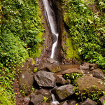 Hanging Bridges im Monteverde National Park by Volker Abt