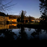 Amphibienrettung - Nachts im Schlosspark