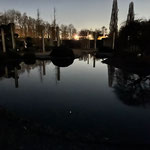 Amphibienrettung - Nachts im Schlosspark