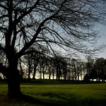 Amphibienrettung - Nachts im Schlosspark