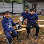 Zwischendurch erhielten die Tiere viele Extraportionen Streicheleinheiten