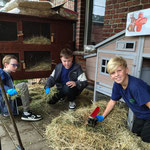 Kaninchen brauchen sehr viel Platz und sie machen viel Arbeit. Jeden Tag