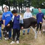 Beim Weide abäppeln kamen die Esel Santos und Benny dazu und kontrollierten, ob die Menschen auch alles richtig machten