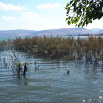 Seepanorama/ Israel 2022 (Foto privat)