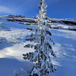 Arva, Vals