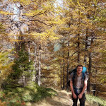 Herbstzauber