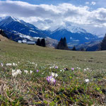 Blick vom Lugnez Richtung Valsertal