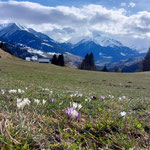 Blick vom Lugnez Richtung Valsertal