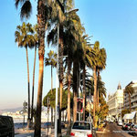 Cannes, die Croisette mit Blick auf das Hotel Carlton