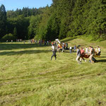 Deutschland - Harz - Meeting-Incentive-Conference-Events - Mitarbeitermotivation - Teambuilding - Veranstaltung -