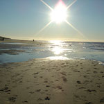 - Deutschland - Sylt - Nordsee - Meeting-Incentive-Conference-Events - Mitarbeitermotivation - Teambuilding - Veranstaltung -