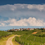 Zellenberg