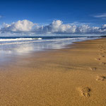 Black Head Beach