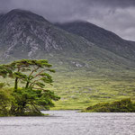 Connemara