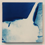 条鰭鋼 -type03- / 2013 ED.5 S0号(180×180mm) cyanotype 紙 木製パネル