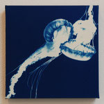 鉢虫鋼 -type03- / 2013 ED.5 S0号(180×180mm) cyanotype 紙 木製パネル　★