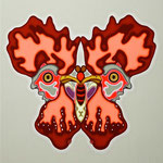 The butterfly of consciousness