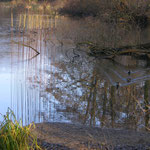 Ulla Nentwig 2008 "Koi", Eisen und Schlagmetall, Gärten der Zukunft, Vierthaler Teich