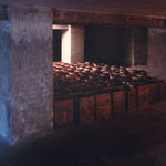 Nentwig 1994, "Alles Banane", Karton, Paraffin