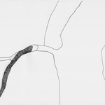 Ulla Nentwig 2019 Graphit auf Papier A4