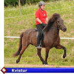 Kvistur  ( VERKAUFT)