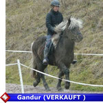 Gandur ( VERKAUFT)